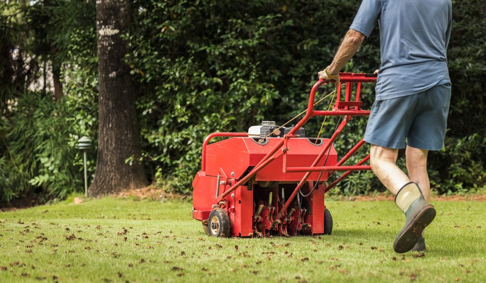 lawn aeration
