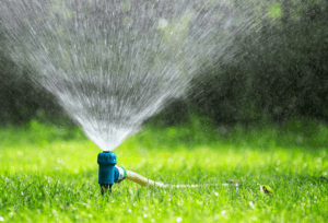 How To Water Your Lawn