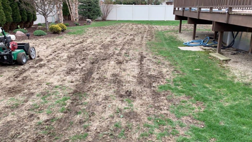 Lawn Disease Treatment - ExperiGreen