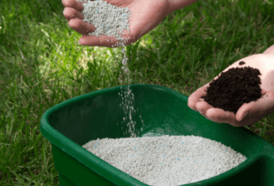 How Often Do You Need to Fertilize Your Lawn