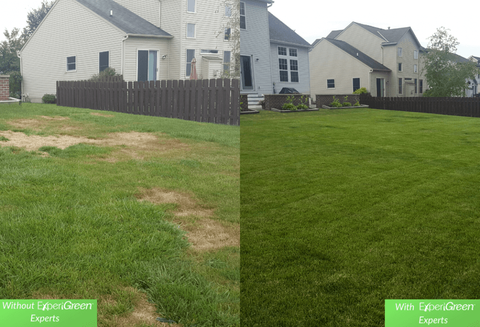 affordable-lawn-care-services-experigreen