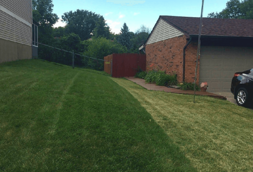 Lawn Care Indianapolis IN | ExperiGreen