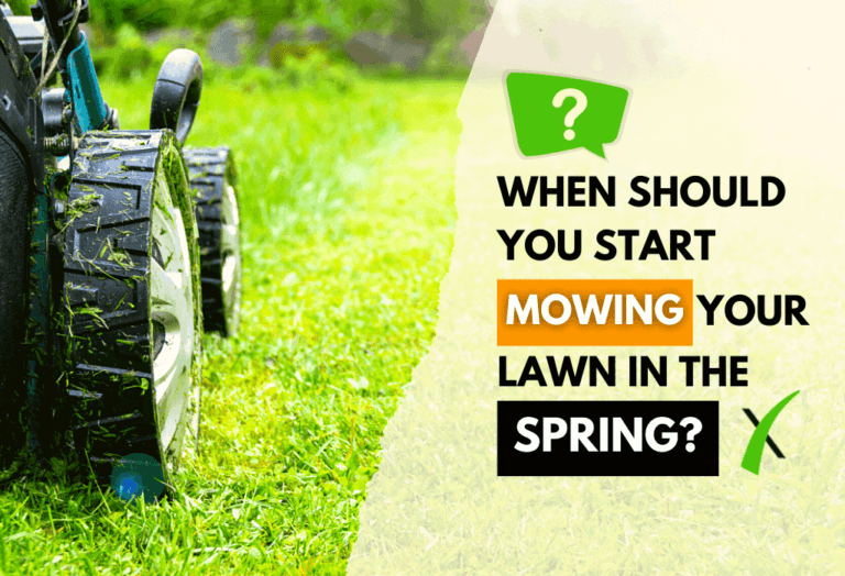 When To Start Mowing In Spring - ExperiGreen