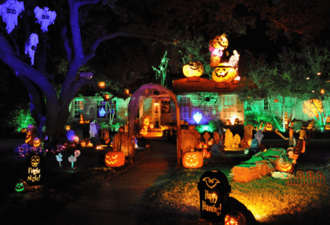 Halloween Lawn Décor - ExperiGreen