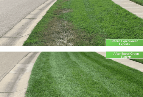 Affordable Lawn Care Services - ExperiGreen