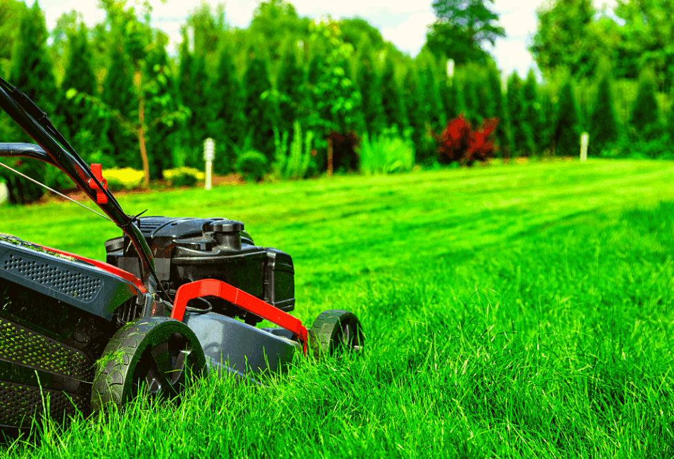 Lawn Mowing Mistakes - ExperiGreen