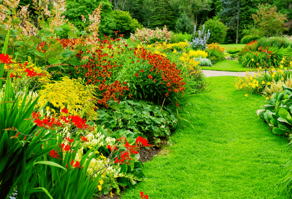 Annuals For Shady Areas - ExperiGreen