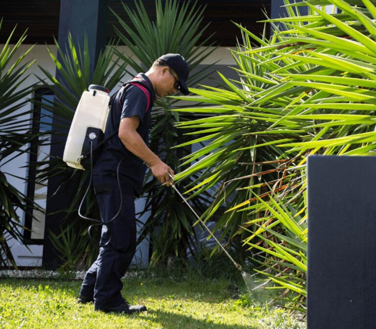 lawn pest control