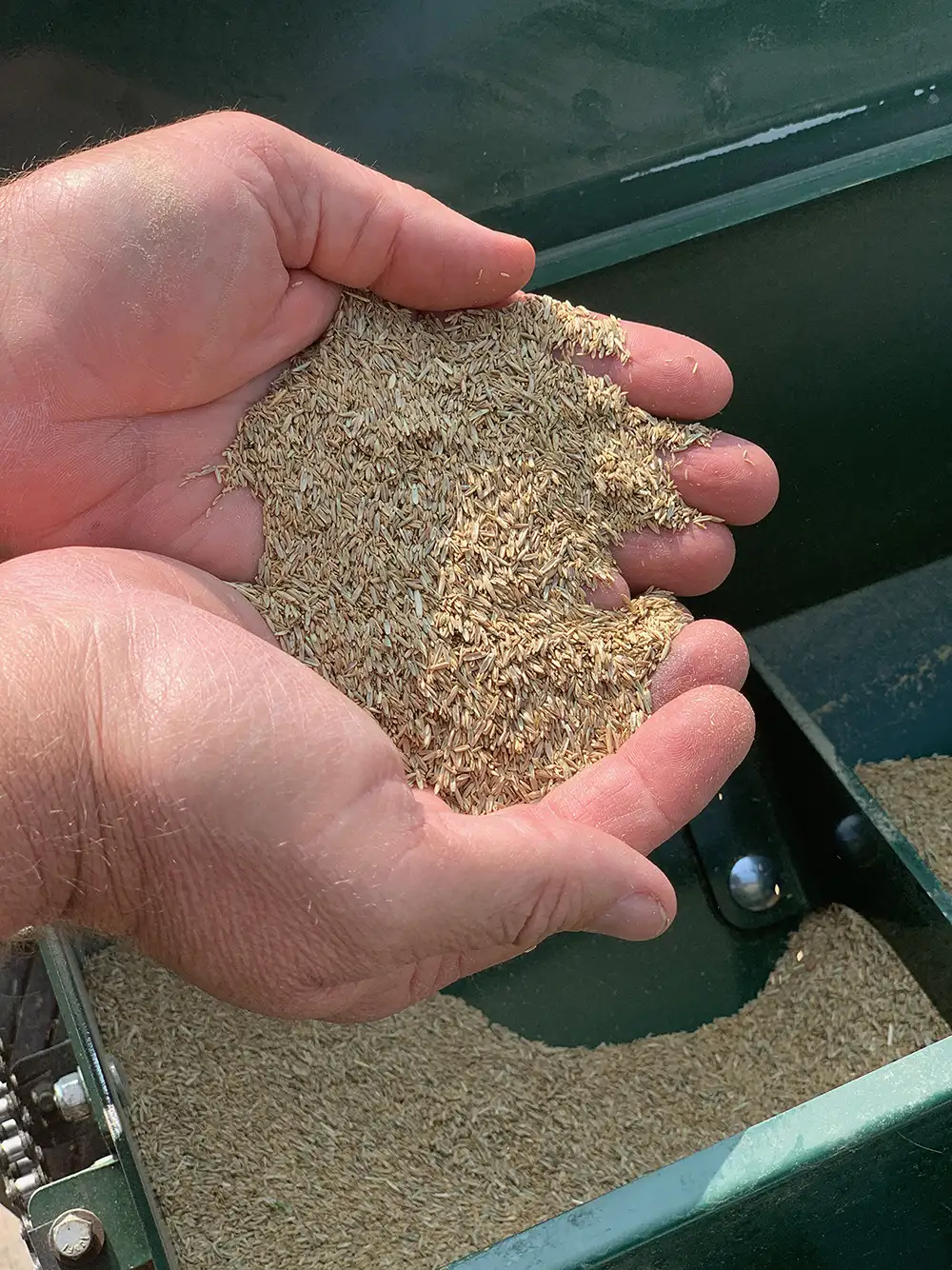 Lawn overseeding