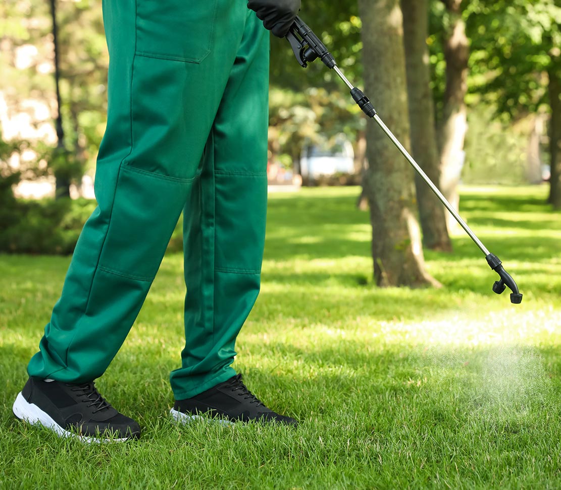 lawn fertilization service