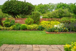 Spring lawn care 