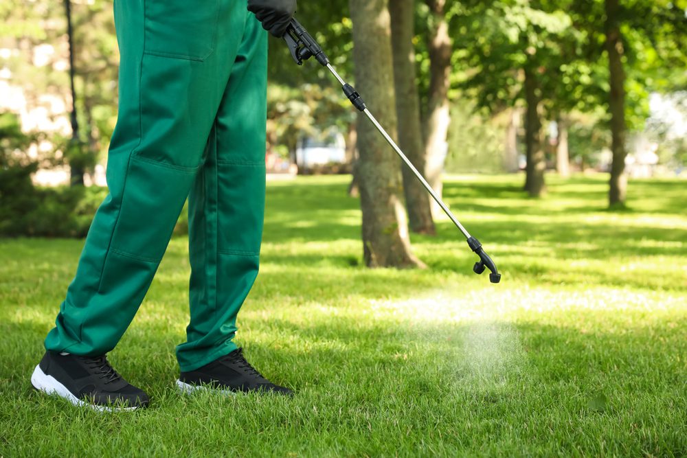 lawn care in lawrence, indiana