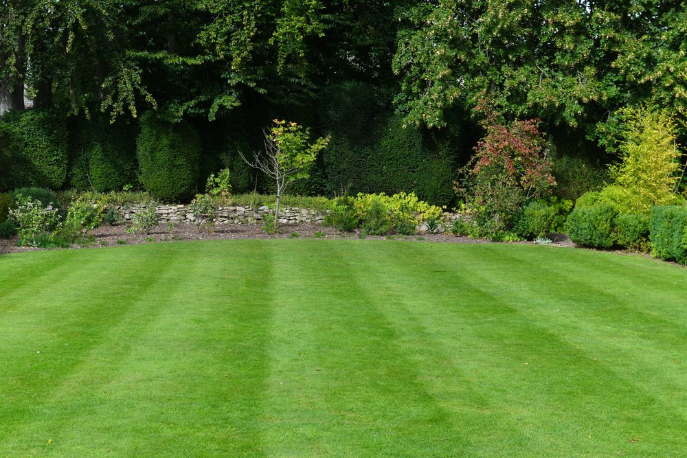 lawn care in fishers, indiana