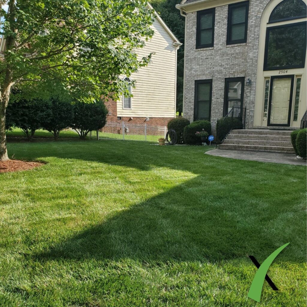 After lawn care by ExperiGreen