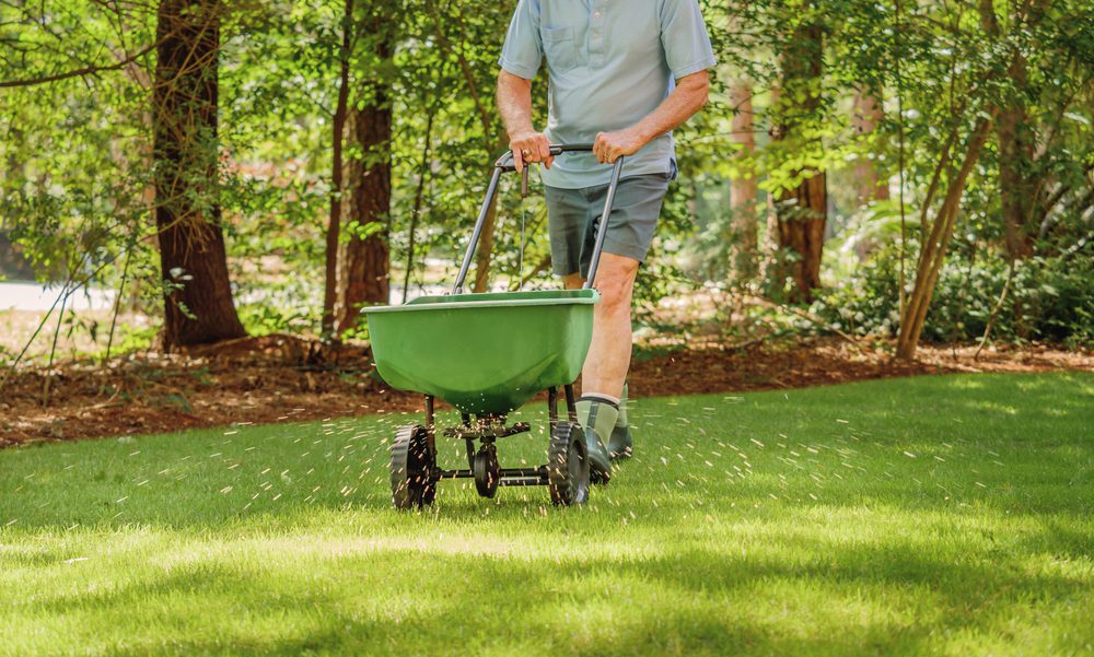 man fertilizing lawn