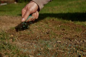 Lawn overseeding