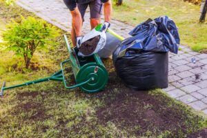 mistakes to avoid when aerating and overseeding your lawn