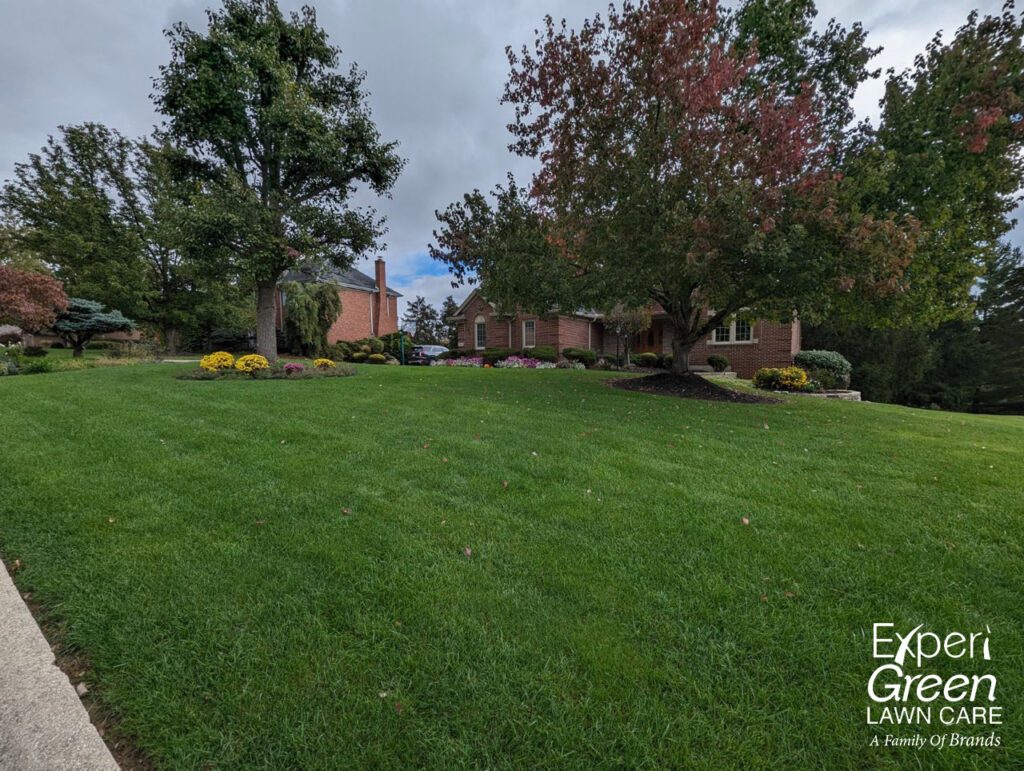 Lawn fertilization in Dayton, OH