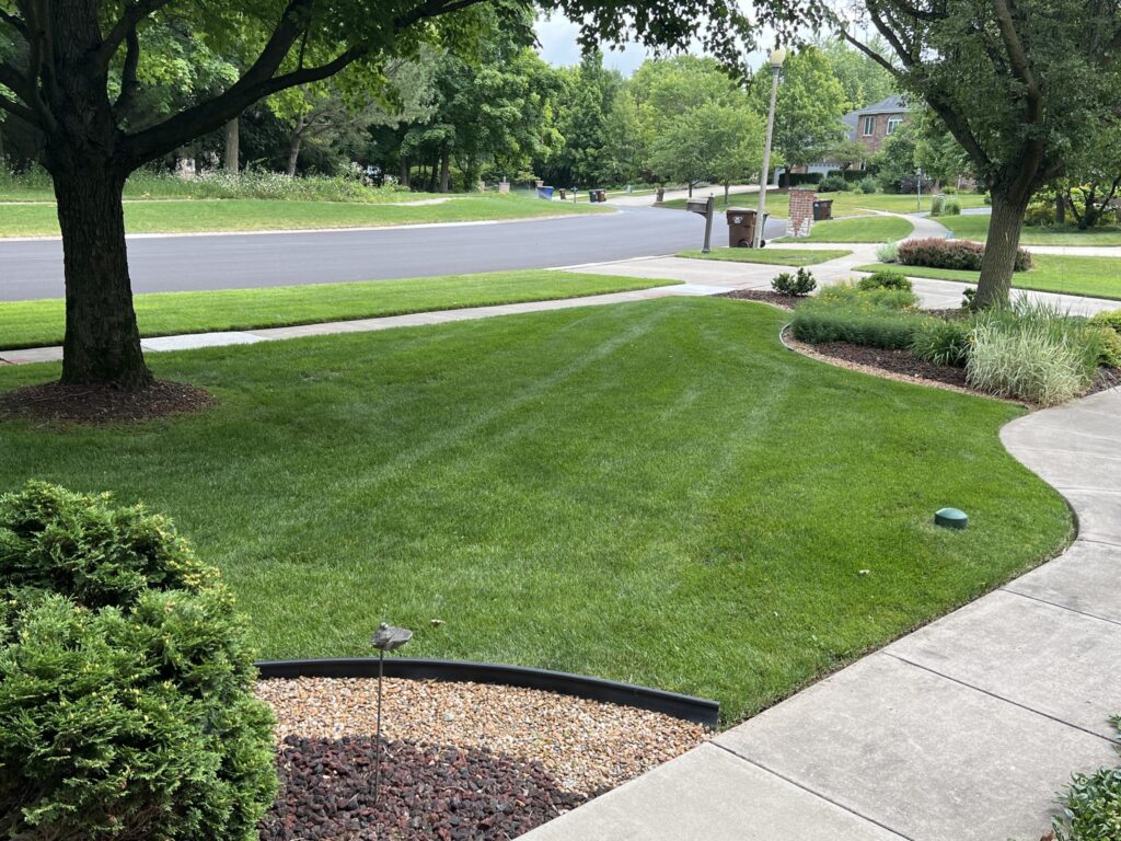 Dayton lawn service