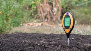 Soil ph testing for lawn