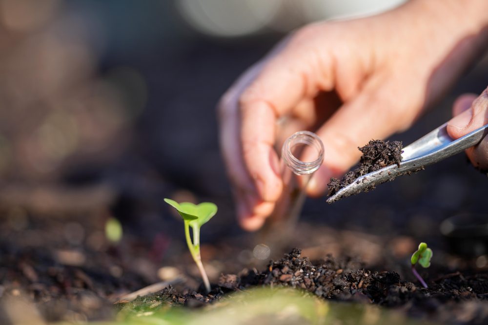 Lawn soil testing