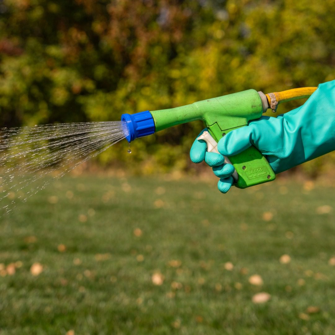 lawn watering