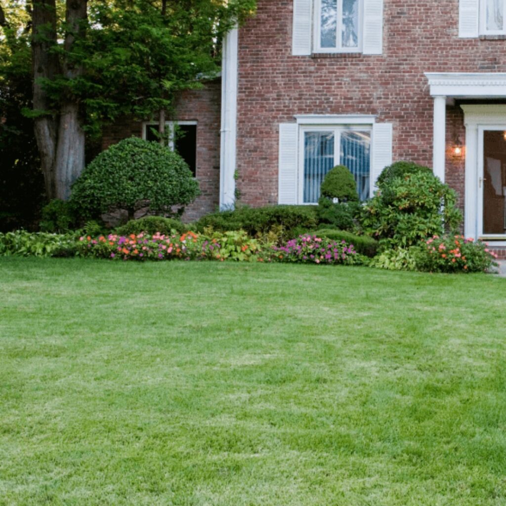 Lawn care in Troy, MI