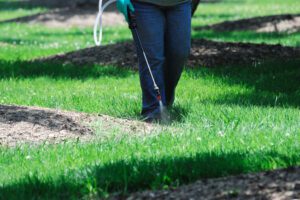 Lawn Fertilization Service