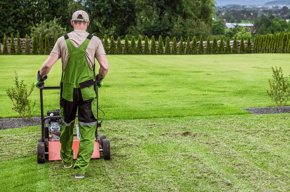 Lawn aeration services