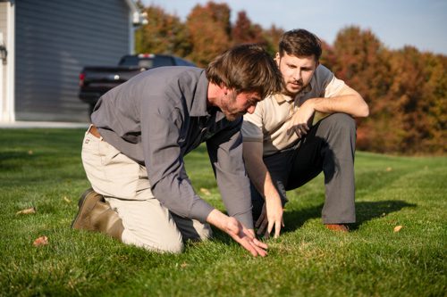 Lawn technician showing grass to customer