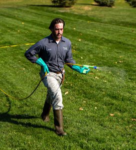 Lawn technician spraying fertilizer/weed control on green lawn