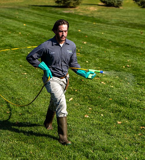 Lawn technician spraying fertilizer/weed control on green lawn