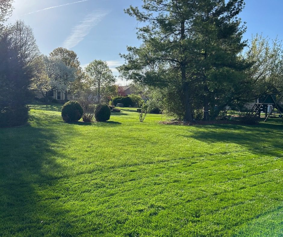 Lawn care in Hamilton, OH