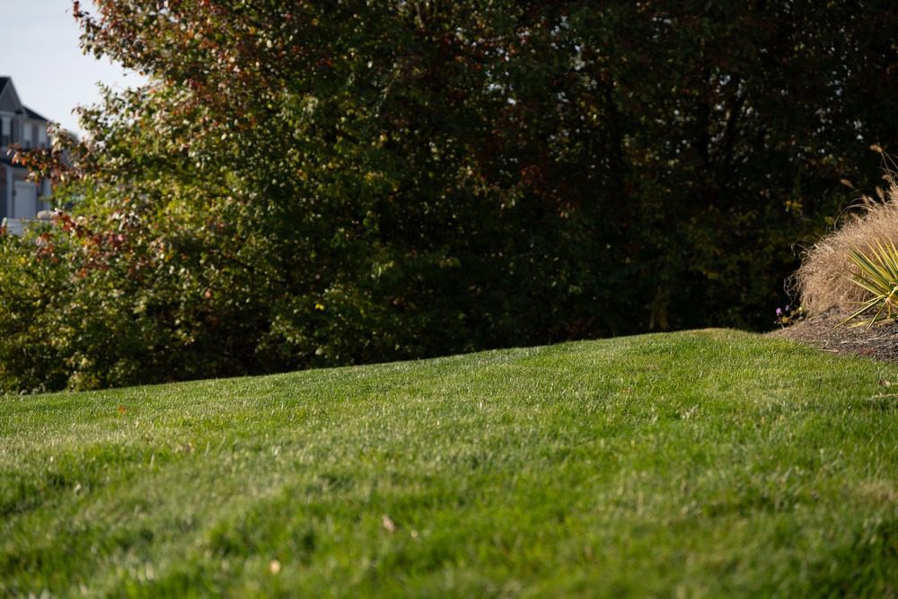 lawn care in gahanna, oh