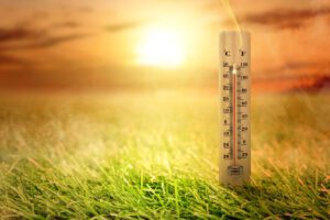 Thermometer with high temperature on the grass with glowing sun