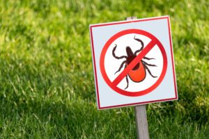 Lawn pest control guide