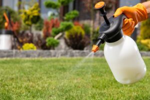 lawn pest spray prevention