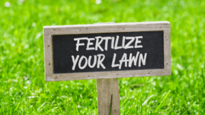 how often to fertilize lawn