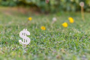 trugreen cost, lawn care cost, dollar sign in lawn
