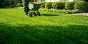 Lawn care specialist applying natural organic fertilizer to a lush green residential lawn