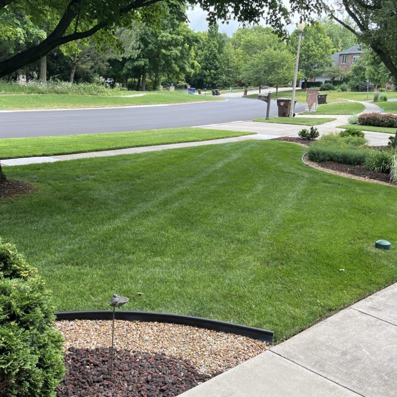 Lawn Care in Joliet, IL
