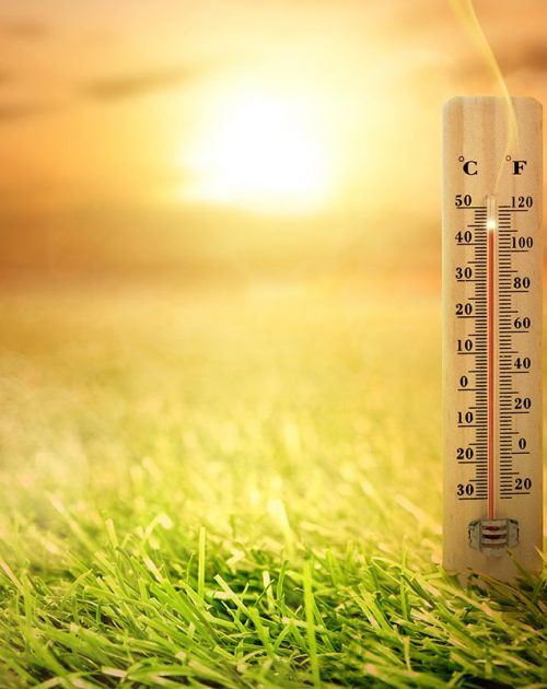 Thermometer with high temperature on the meadow with glowing sun Thermometer with high temperature on the grass with glowing sun