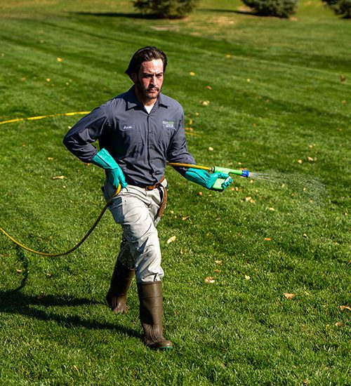 Lawn Tech Spray Lawn technician spraying fertilizer/weed control on green lawn
