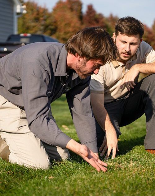 Lawn technician showing grass to customer